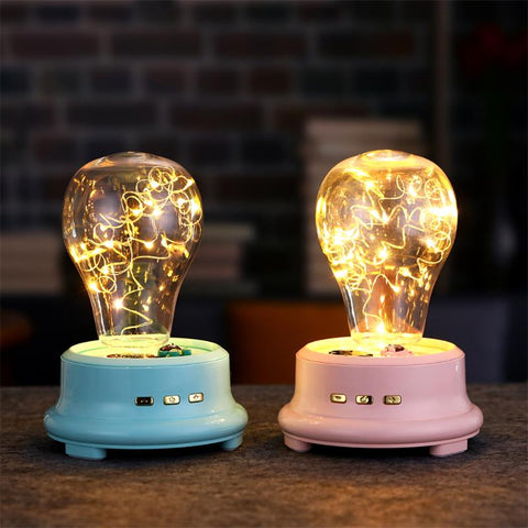 Preserved Rose Flowers Streamer Bottle Wireless Bluetooth Speaker USB Charging LED Night Lighting Home Decoration Table Lamp